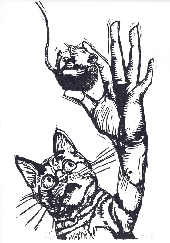 Eine Katze hält eine Maus mit der Hand in die Höhe und blickt sie erstaunt an.