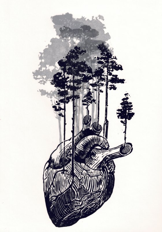Aus einem Herz wachsen Bäume zu einem Nebelwald.